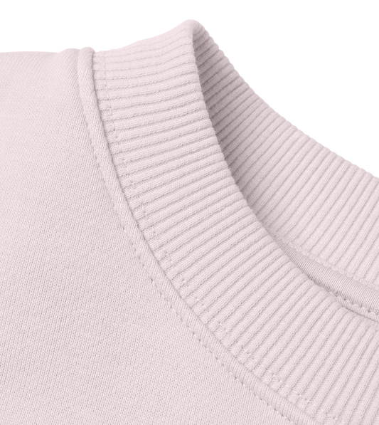 sunday sessions soft pink crewneck